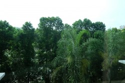 The Rivervale (D19), Condominium #217371471